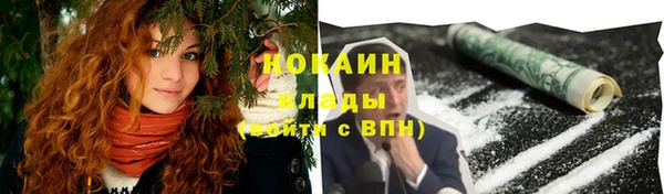 индика Липки