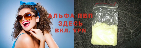 индика Липки
