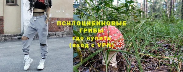 индика Липки
