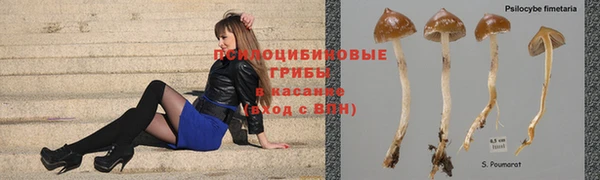 индика Липки