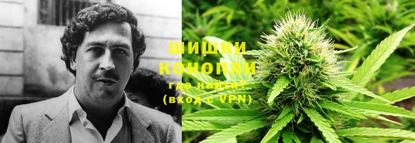 индика Липки