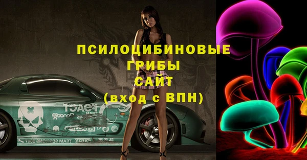 индика Липки