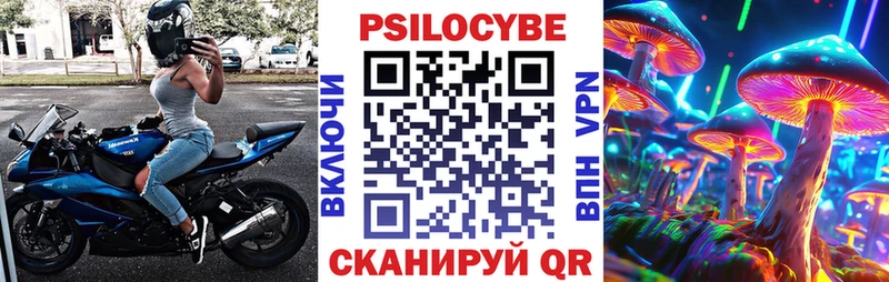 Купить  Макушино  Псилоцибиновые грибы мицелий 